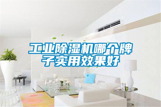 工业除湿机哪个牌子实用效果好