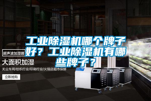 工业除湿机哪个牌子好？工业除湿机有哪些牌子？