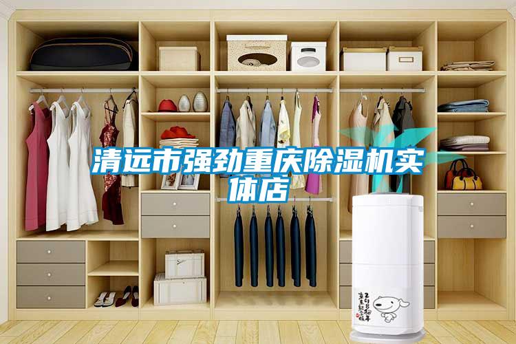 清远市强劲重庆除湿机实体店