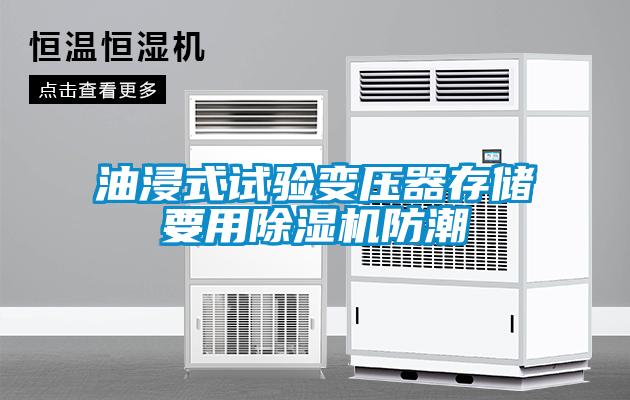 油浸式试验变压器存储要用除湿机防潮