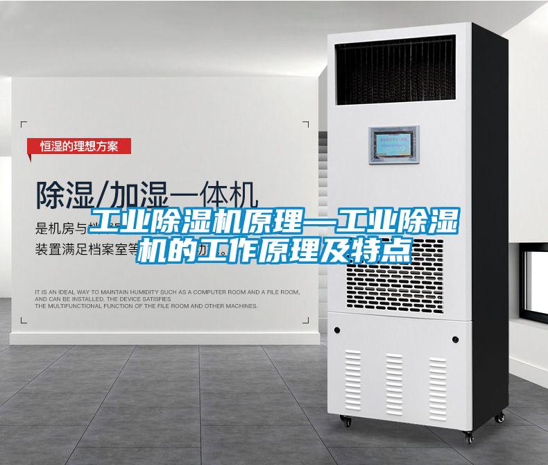工业除湿机原理—工业除湿机的工作原理及特点