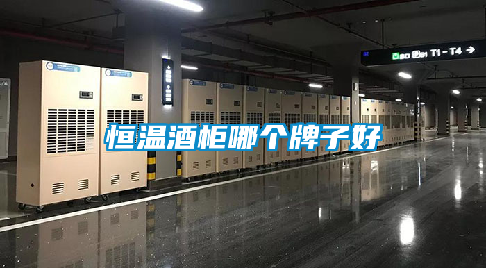 恒温酒柜哪个牌子好