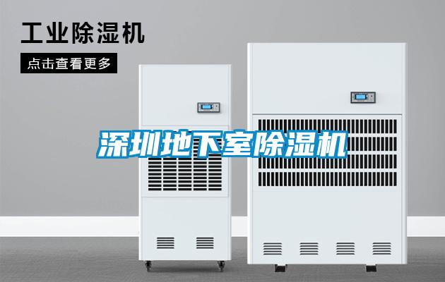 深圳地下室除湿机