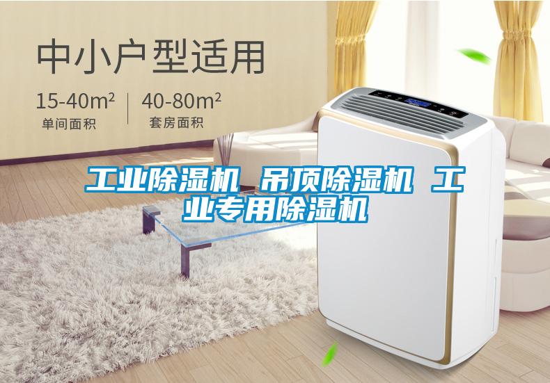 工业除湿机 吊顶除湿机 工业专用除湿机