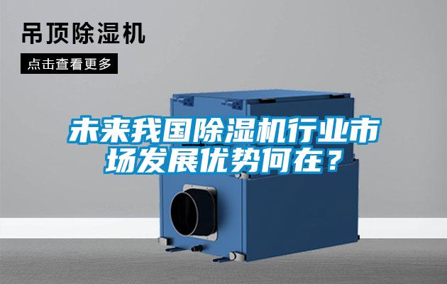 未来我国除湿机行业市场发展优势何在？