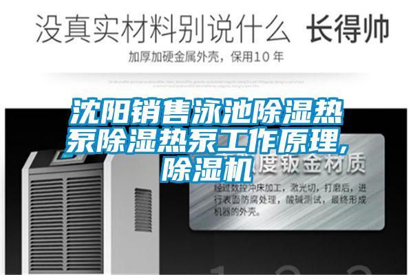 沈阳销售泳池除湿热泵除湿热泵工作原理,除湿机