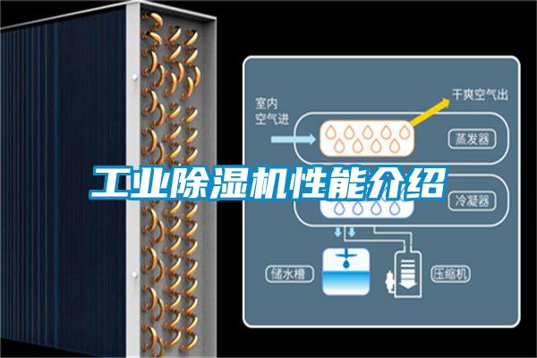 工业除湿机性能介绍