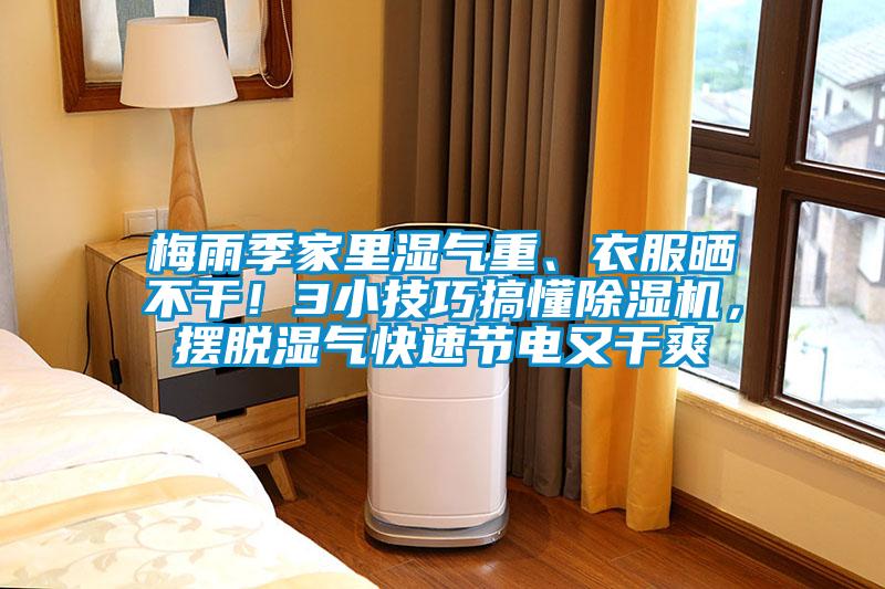 梅雨季家里湿气重、衣服晒不干！3小技巧搞懂除湿机，摆脱湿气快速节电又干爽