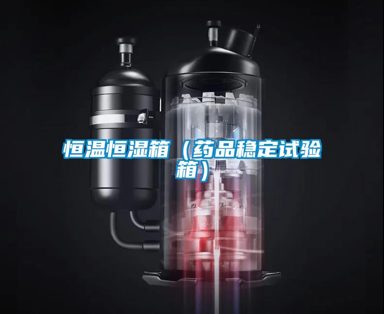 恒温恒湿箱（药品稳定试验箱）
