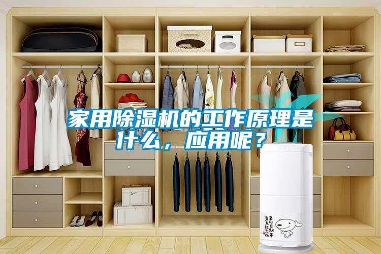 家用除湿机的工作原理是什么，应用呢？