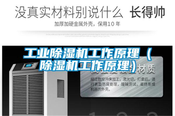 工业除湿机工作原理（除湿机工作原理）