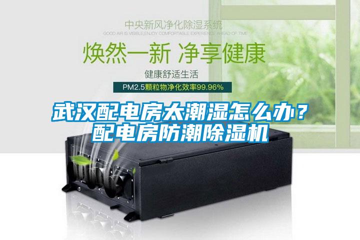 武汉配电房太潮湿怎么办？配电房防潮除湿机