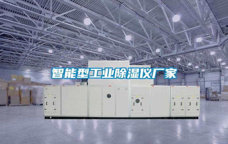 智能型工业除湿仪厂家
