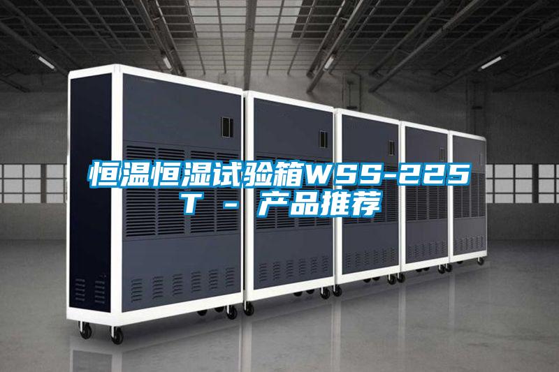恒温恒湿试验箱WSS-225T - 产品推荐