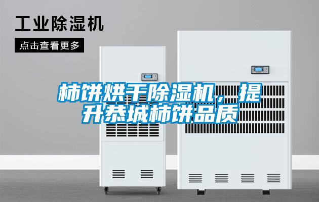 柿饼烘干除湿机，提升恭城柿饼品质