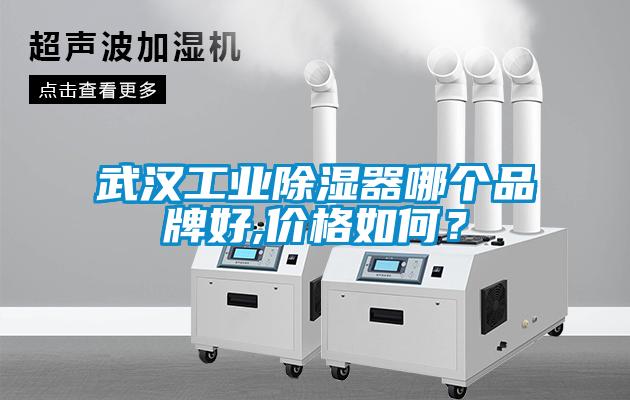 武汉工业除湿器哪个品牌好,价格如何？