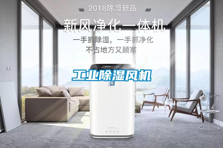 工业除湿风机