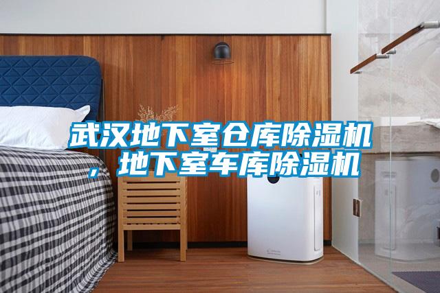 武汉地下室仓库除湿机，地下室车库除湿机