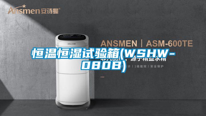 恒温恒湿试验箱(WSHW-080B)
