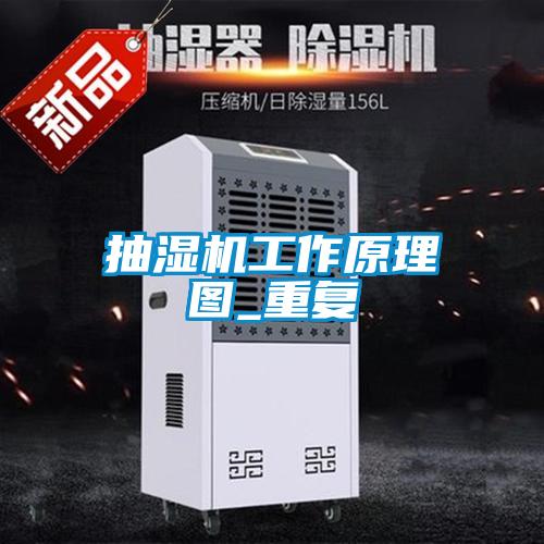 抽湿机工作原理图_重复