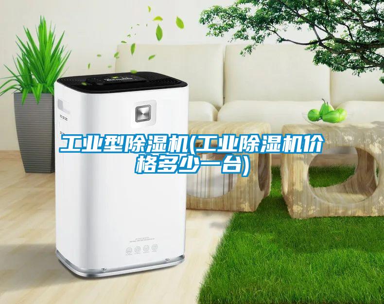 工业型除湿机(工业除湿机价格多少一台)
