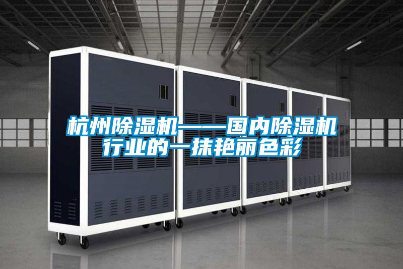 杭州除湿机——国内除湿机行业的一抹艳丽色彩