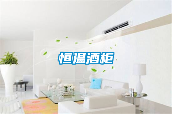 恒温酒柜