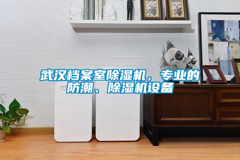 武汉档案室除湿机，专业的防潮、除湿机设备