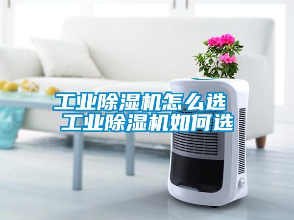 工业除湿机怎么选 工业除湿机如何选