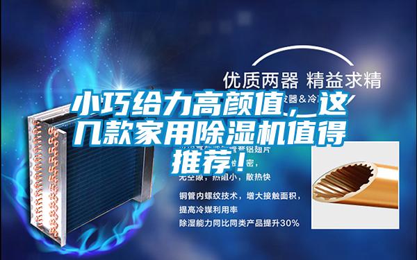 小巧给力高颜值，这几款家用除湿机值得推荐！