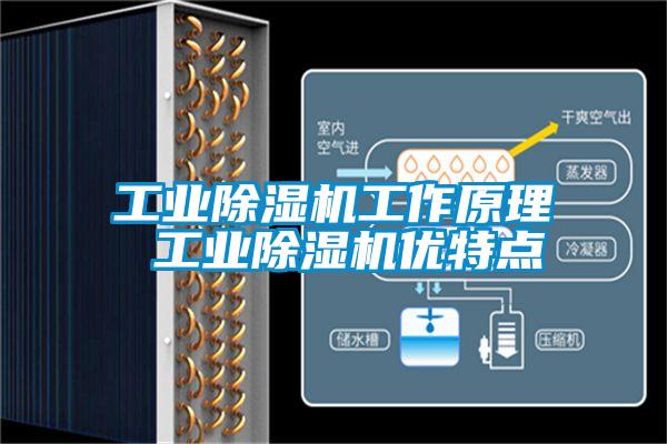 工业除湿机工作原理 工业除湿机优特点