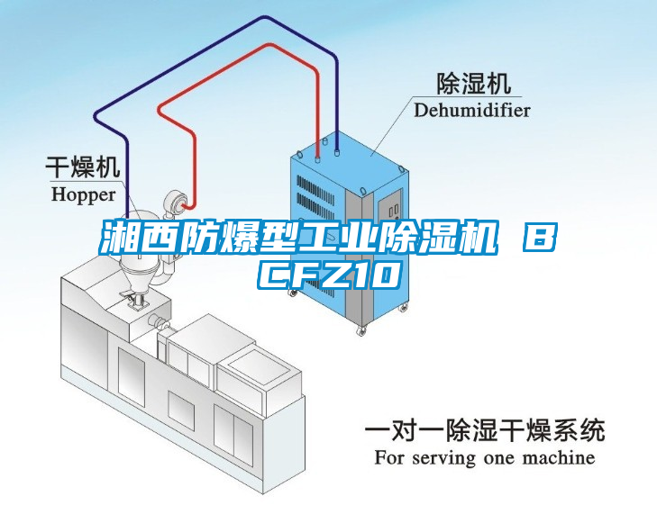 湘西防爆型工业除湿机 BCFZ10