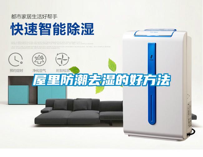 屋里防潮去湿的好方法