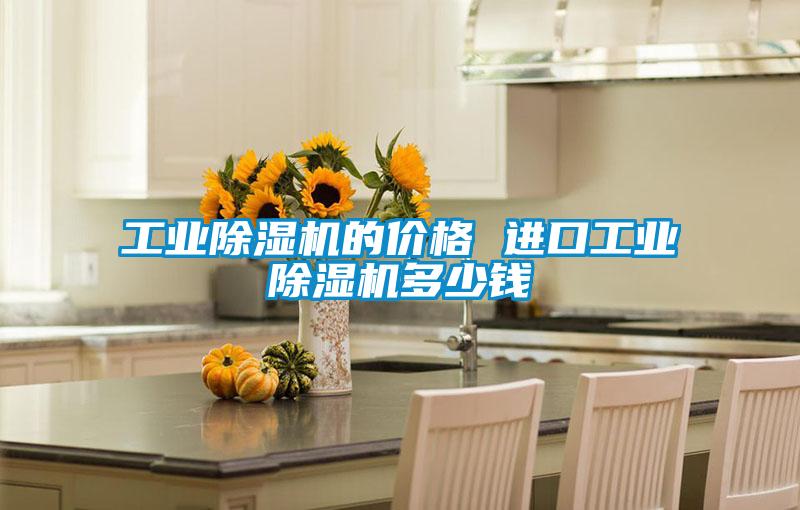 工业除湿机的价格 进口工业除湿机多少钱