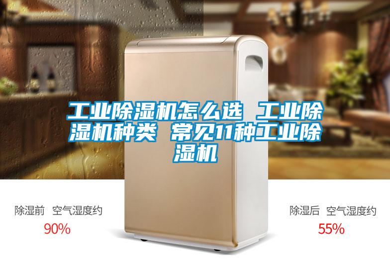 工业除湿机怎么选 工业除湿机种类 常见11种工业除湿机
