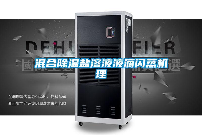 混合除湿盐溶液液滴闪蒸机理
