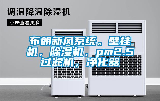 布朗新风系统。壁挂机，除湿机，pm2.5过滤机，净化器