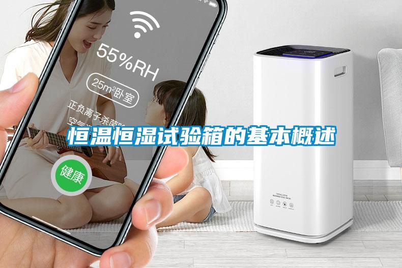 恒温恒湿试验箱的基本概述