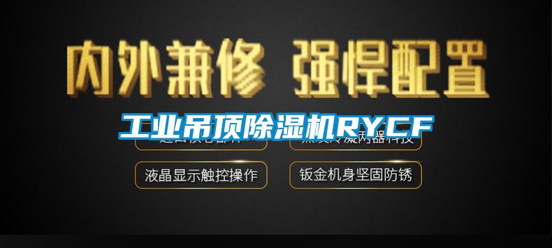 工业吊顶除湿机RYCF