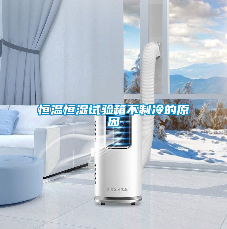 恒温恒湿试验箱不制冷的原因