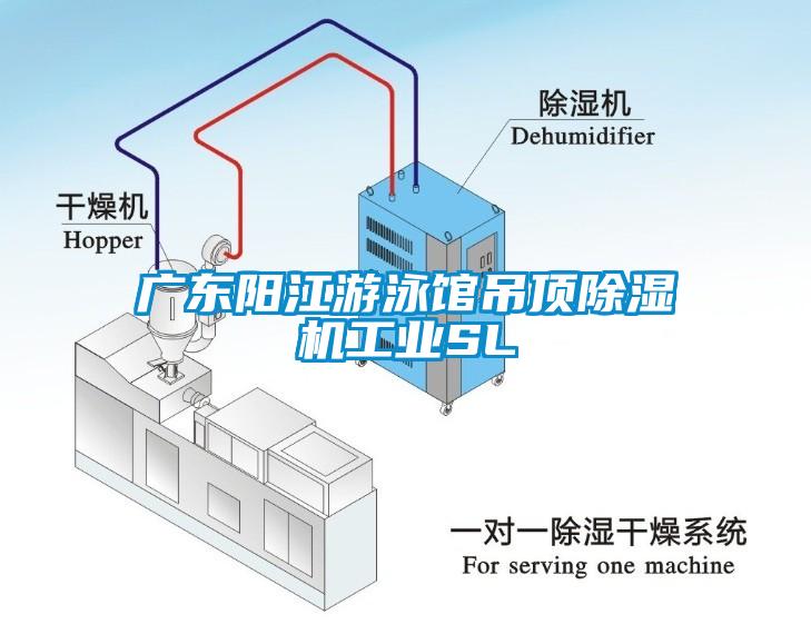 广东阳江游泳馆吊顶除湿机工业SL