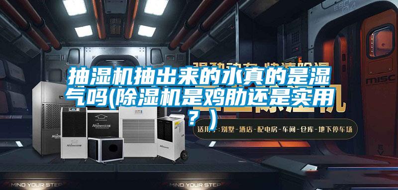 抽湿机抽出来的水真的是湿气吗(除湿机是鸡肋还是实用？)
