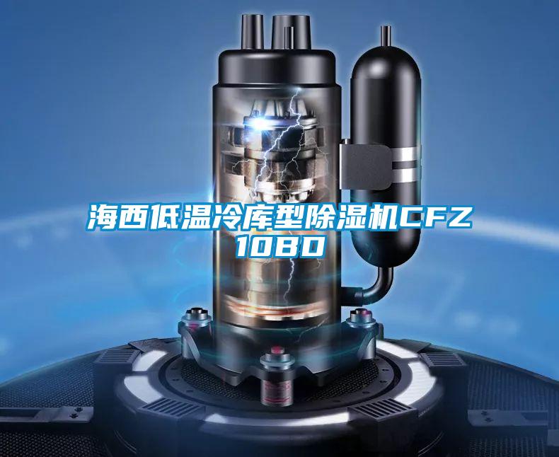 海西低温冷库型除湿机CFZ10BD