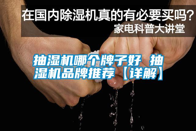 抽湿机哪个牌子好 抽湿机品牌推荐【详解】