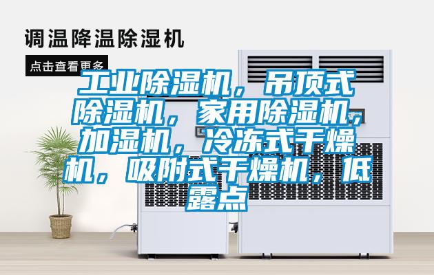 工业除湿机，吊顶式除湿机，家用除湿机，加湿机，冷冻式干燥机，吸附式干燥机，低露点