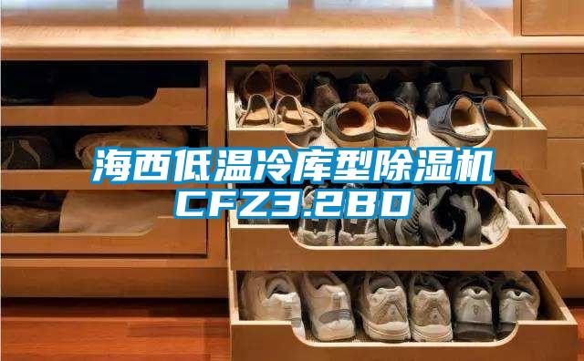 海西低温冷库型除湿机CFZ3.2BD