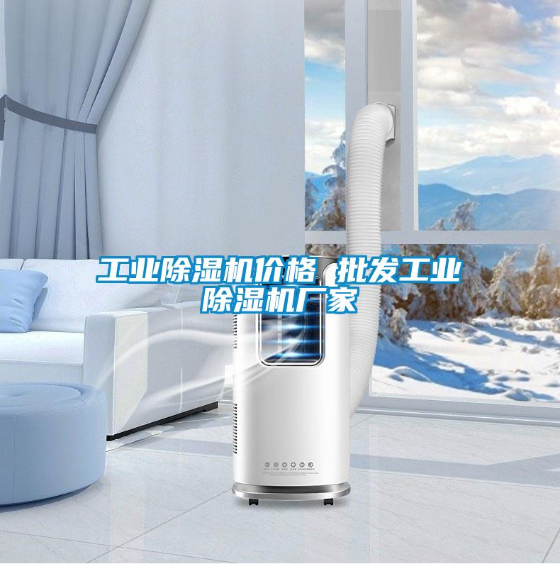 工业除湿机价格 批发工业除湿机厂家