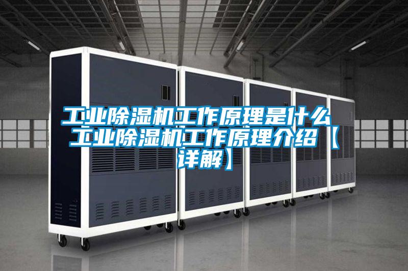 工业除湿机工作原理是什么 工业除湿机工作原理介绍【详解】