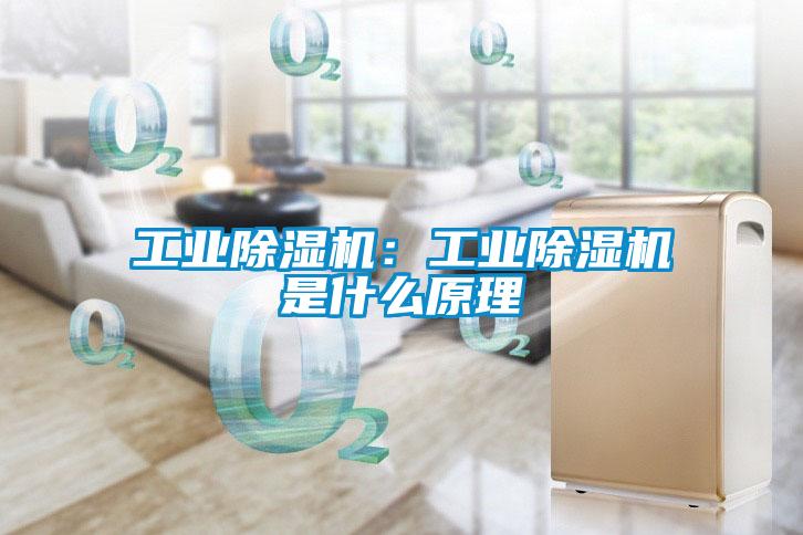 工业除湿机：工业除湿机是什么原理
