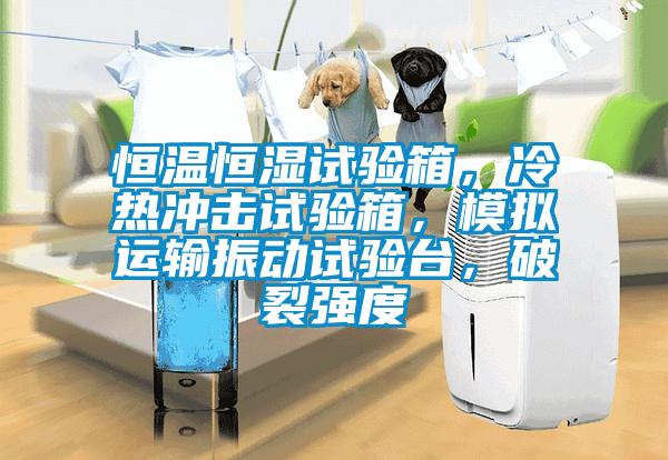 恒温恒湿试验箱，冷热冲击试验箱，模拟运输振动试验台，破裂强度